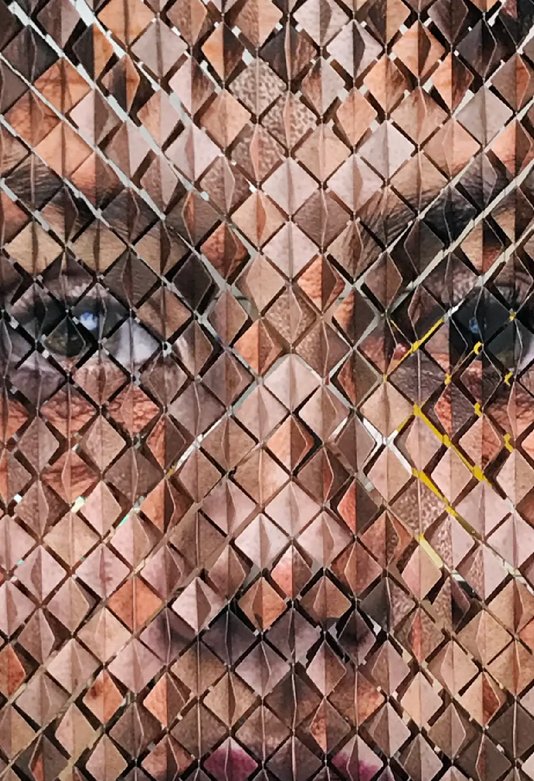 Ejercicios estocásticos